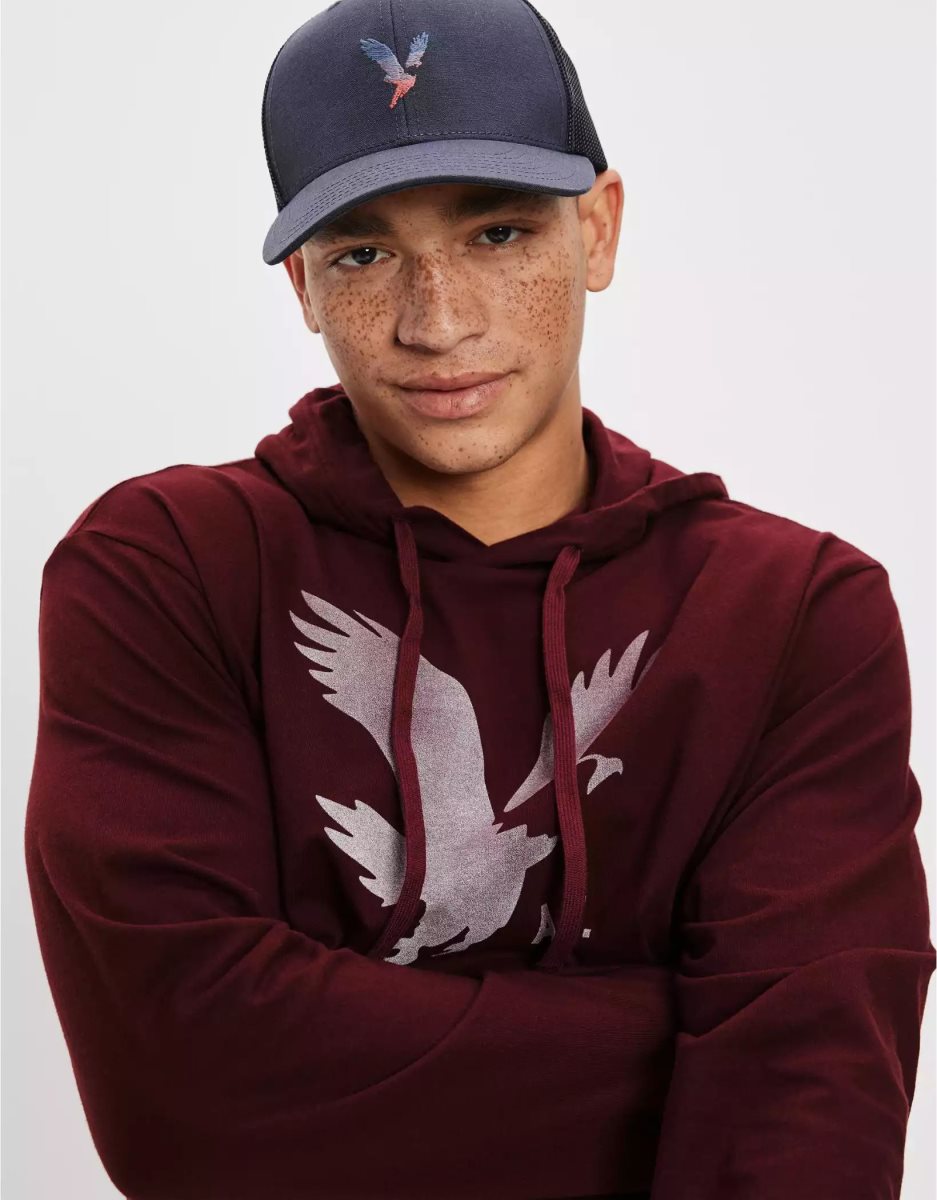 Sweat à Capuche American Eagle AE Super Soft Logo Graphique Bordeaux Homme | DPR-81900320